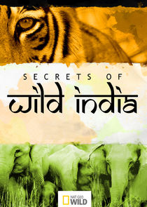Secrets of Wild India poster