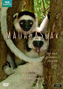 Madagascar poster