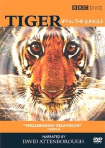 Tiger - Spy in the Jungle poster