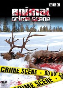Animal Crime Scene poster