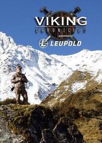 Viking Chronicles poster