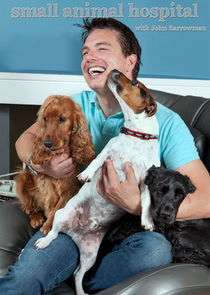 Small Animal Hospital poster