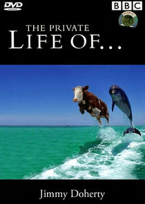 The Private Life of... poster
