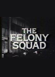 The Felony Squad poster