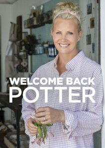 Welcome Back Potter poster