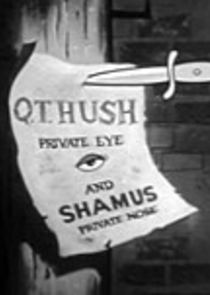 Q.T. Hush poster