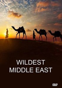 Wildest Middle East poster