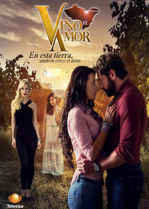 Vino el amor poster