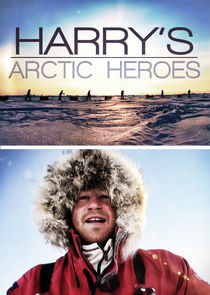Harry's Arctic Heroes poster
