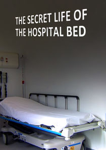 Secret Life of the Hospital Bed poster