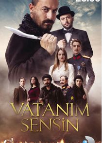 Vatanım Sensin poster