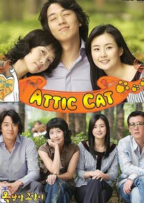 Attic Cat poster