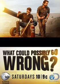 What Could Possibly Go Wrong? poster