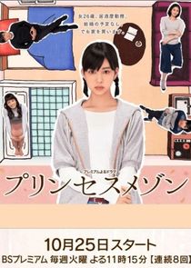 Princess Maison poster