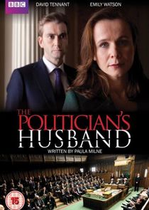 The Politician's Husband poster