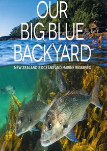 Our Big Blue Backyard poster