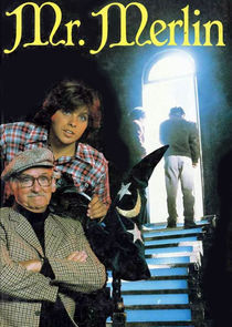 Mr. Merlin poster