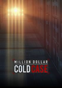 Million Dollar Cold Case poster