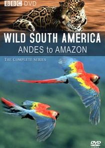 Andes to Amazon poster