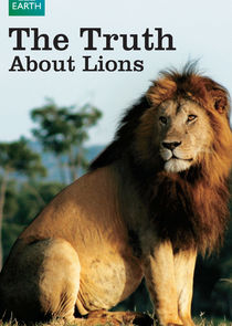 The Truth About Lions poster