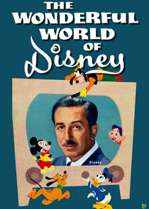 The Wonderful World of Disney poster