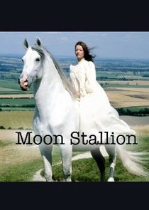 The Moon Stallion poster