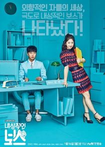 Introverted Boss poster