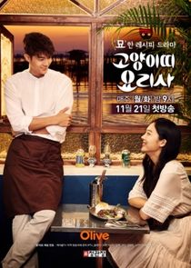 Cat Chef poster