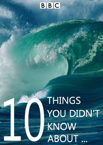 10 Things You Didn't Know About… poster