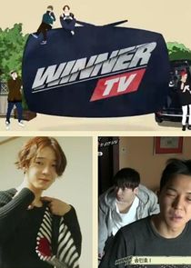 WINNER TV poster