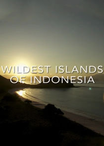 Wildest Islands of Indonesia poster