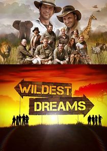 Wildest Dreams poster
