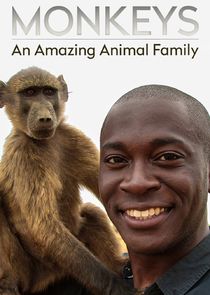 Monkeys: An Amazing Animal Family poster