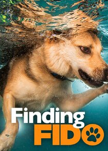 Finding Fido poster