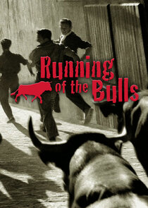 Running of the Bulls poster
