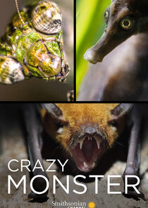 Crazy Monster poster