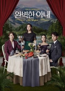 Perfect Wife poster