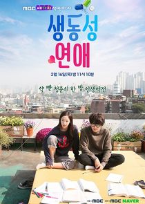Vivid Romance poster