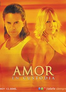 Amor en custodia poster