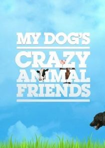 My Dog's Crazy Animal Friends poster
