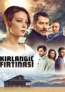 Kırlangıç Fırtınası poster