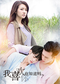 I Like You, You Know? poster