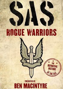 SAS: Rogue Warriors poster