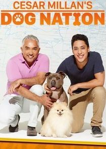 Cesar Millan's Dog Nation poster