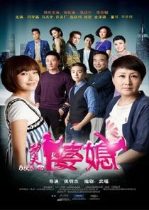 Kung Fu Mother-in-Law poster