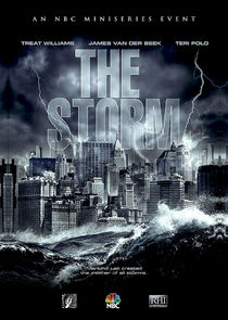 The Storm poster