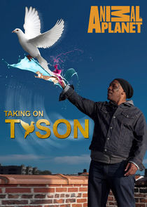 Taking on Tyson poster