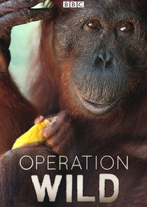 Operation Wild poster