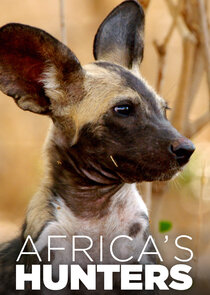 Africa's Hunters poster