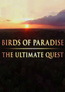 Birds of Paradise: The Ultimate Quest poster